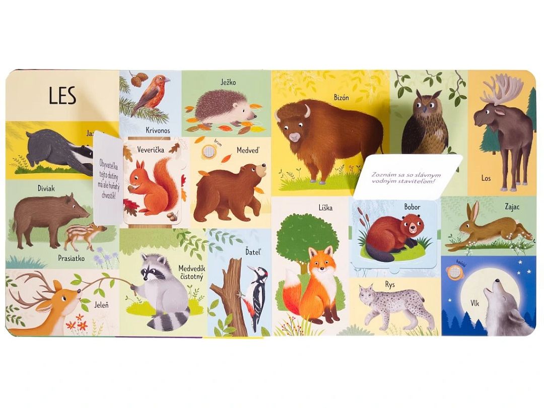 7713-101-prvych-slov-zvierata_02.jpg
