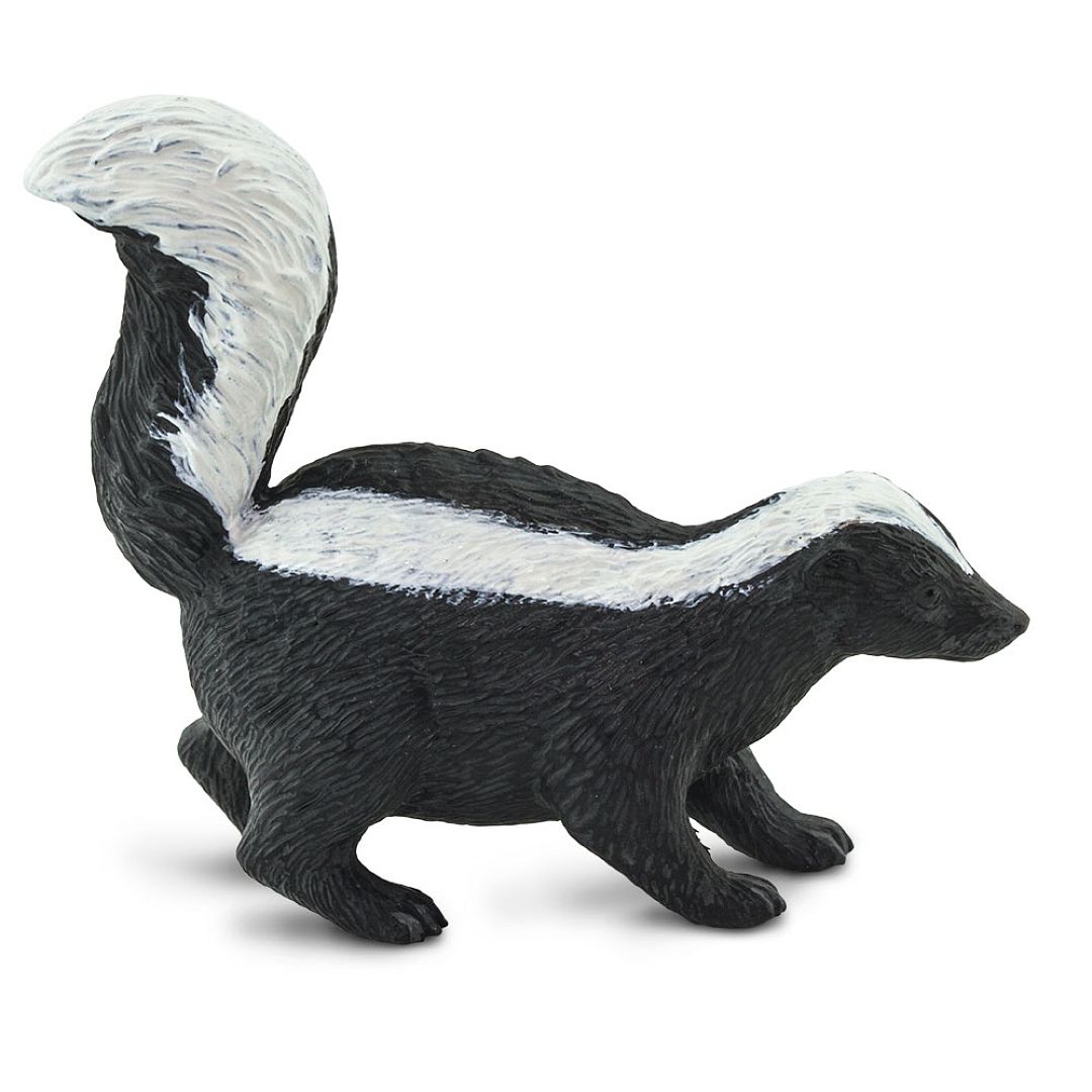 skunk-pruhovany.jpg