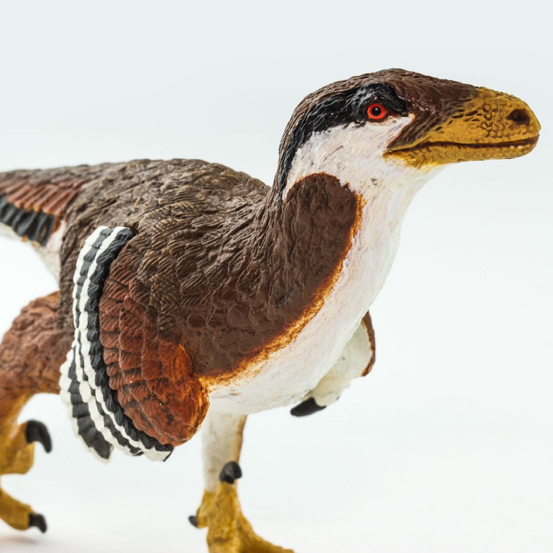 deinonychus.jpg