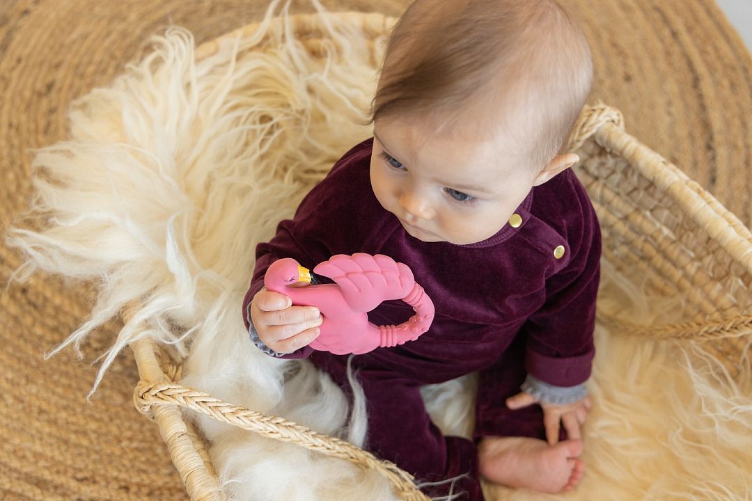 Natruba-Flamingo-teether-up.jpg