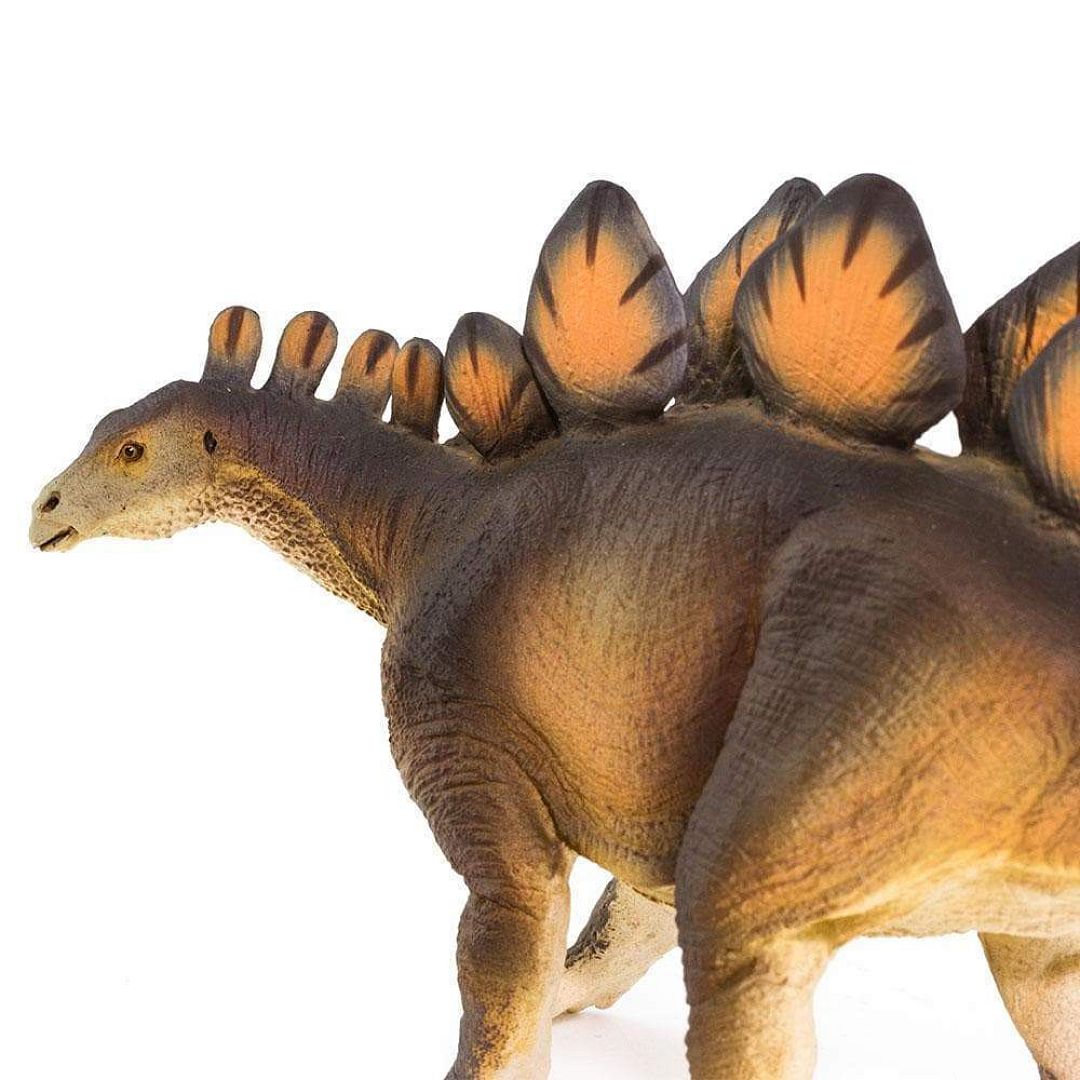 stegosaurus.jpg