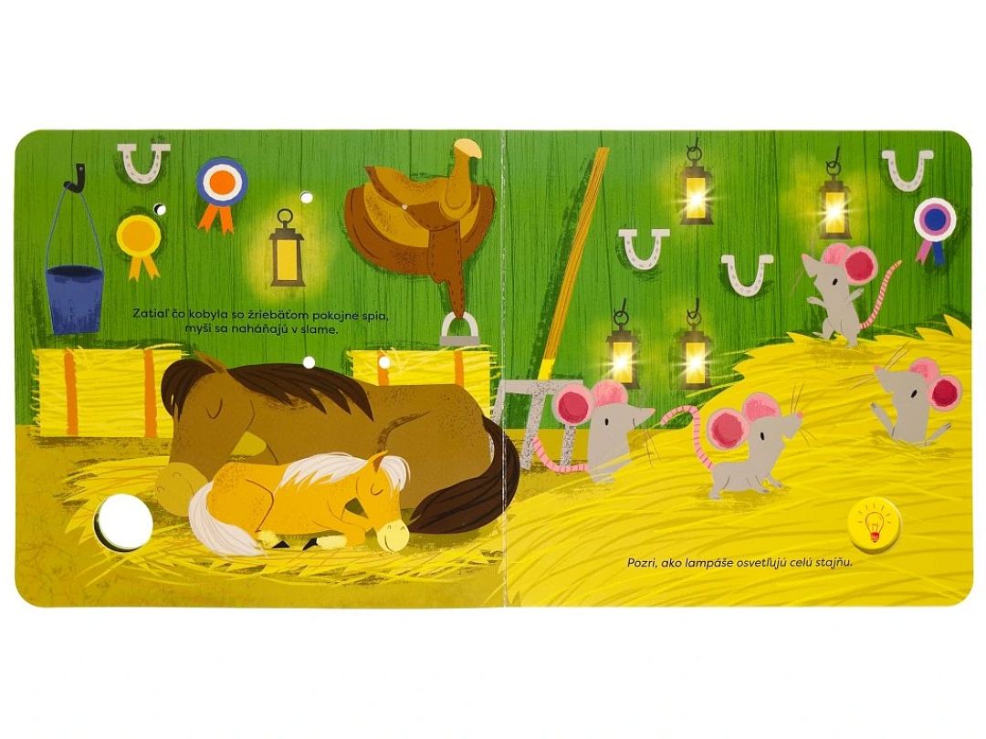 7624-na-farme-kniha-so-svetielkami_04.jpg