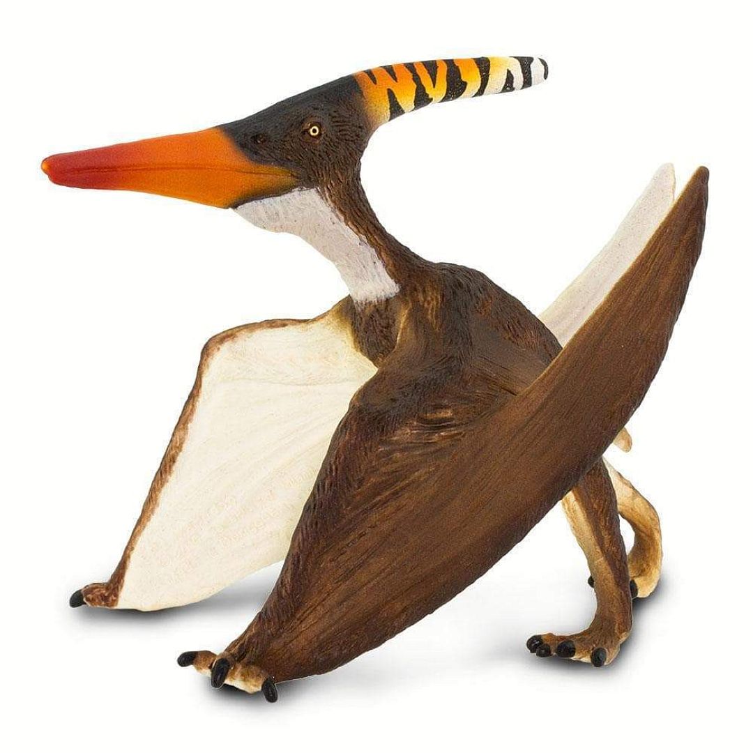 pteranodon.jpg