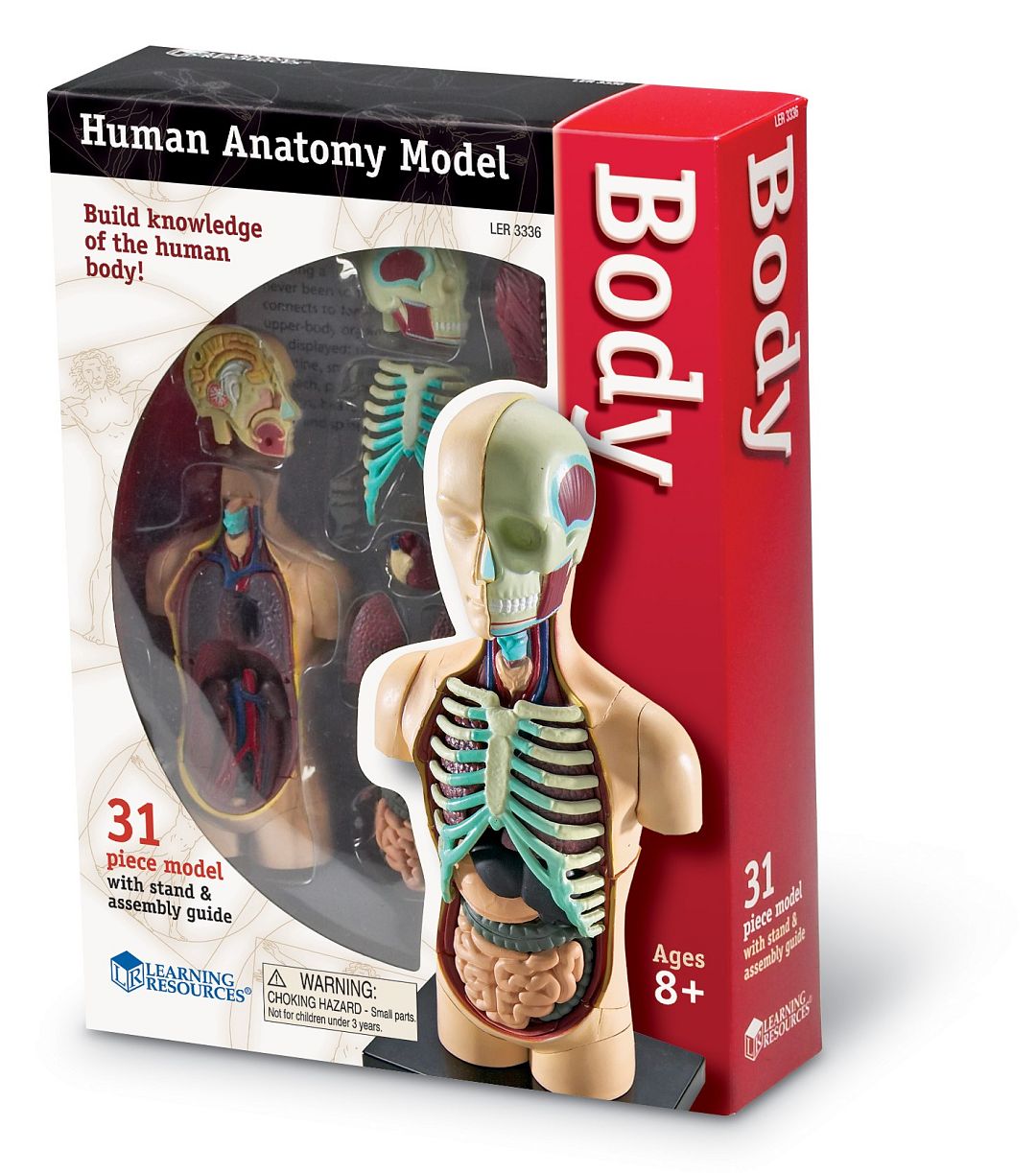 anatomicky-model-lidskeho-tela.jpg