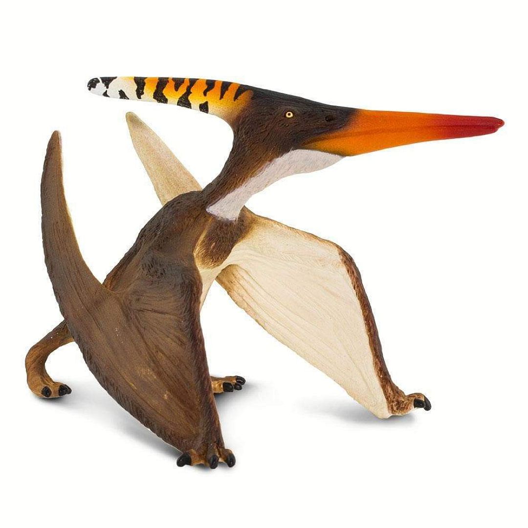 pteranodon.jpg