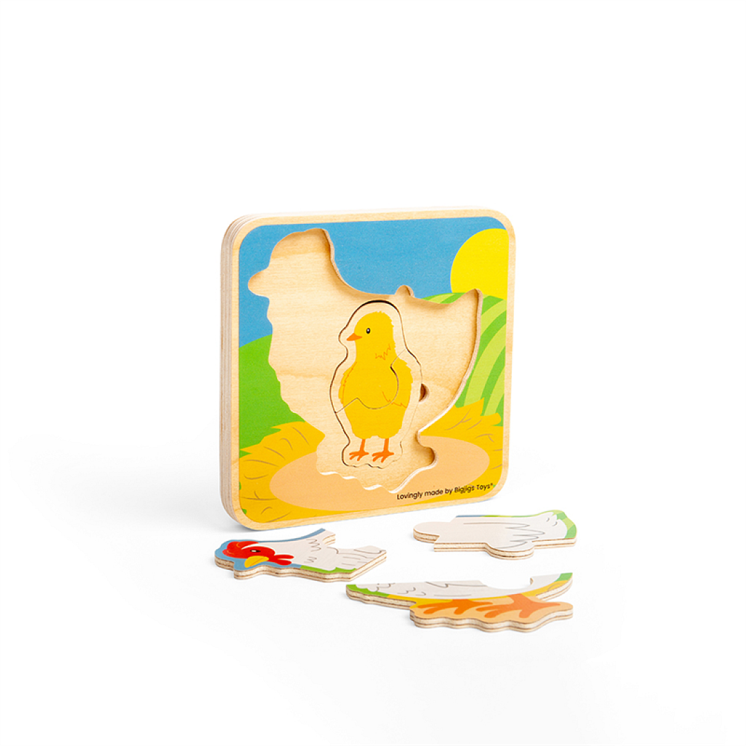 Lifecycle-Puzzle---Chicken_800x800%20(1).png