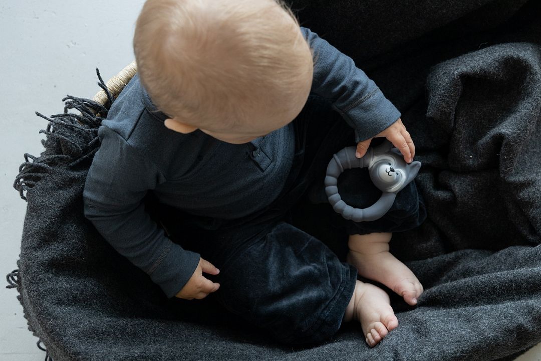 Natruba-Raccoon-teether-boy-topview.jpg