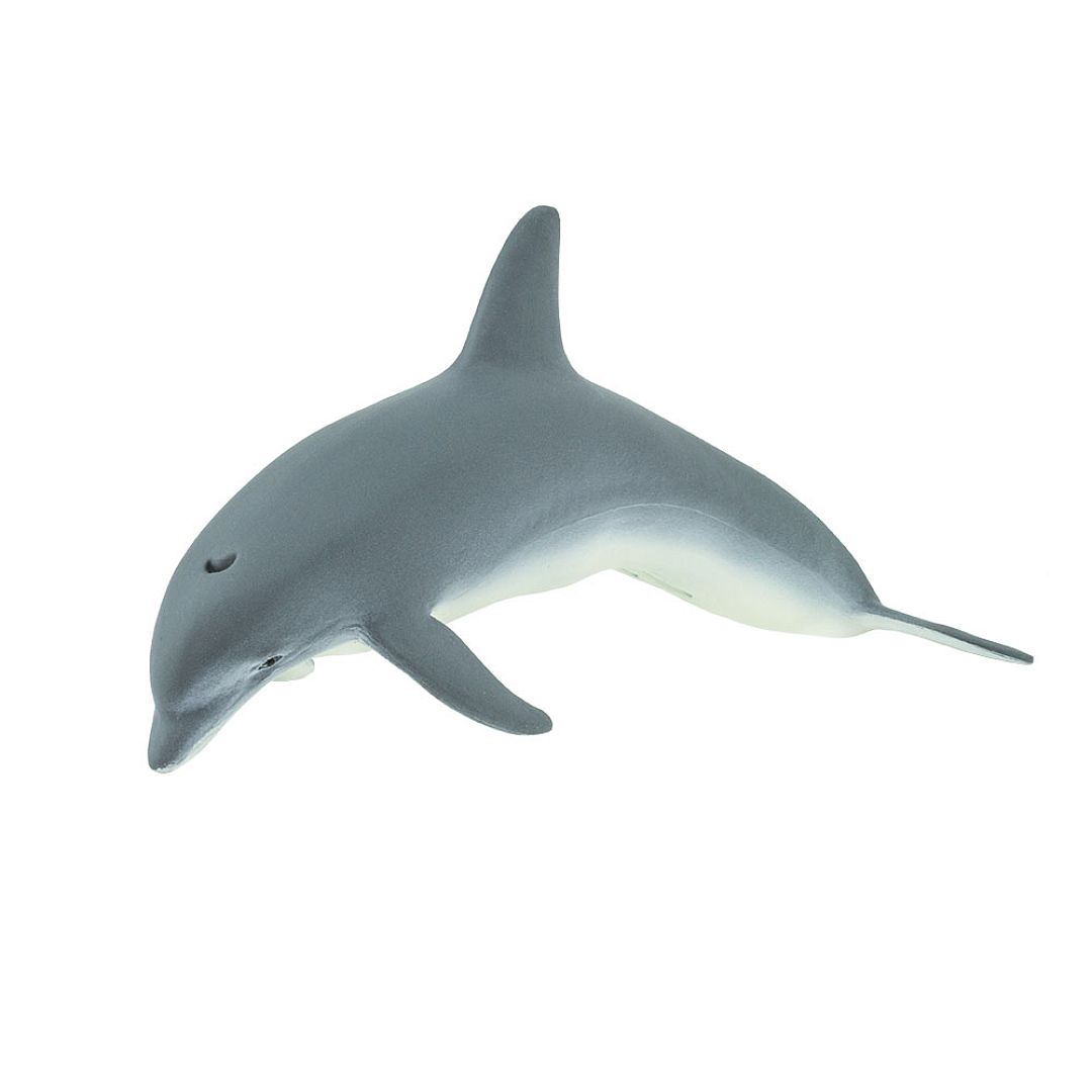 delfin.jpg