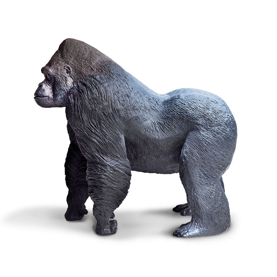 gorila.jpg